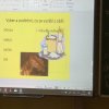 06_Od zrna po chléb
